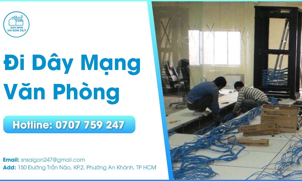 di-day-mang-van-phong
