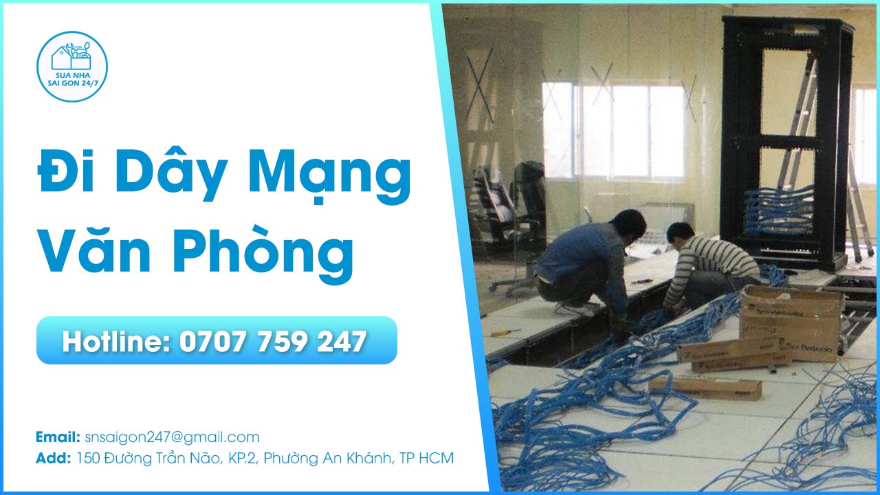 di-day-mang-van-phong
